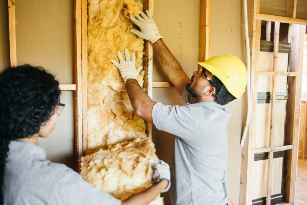  Ellisburg, NJ Insulation Services Pros